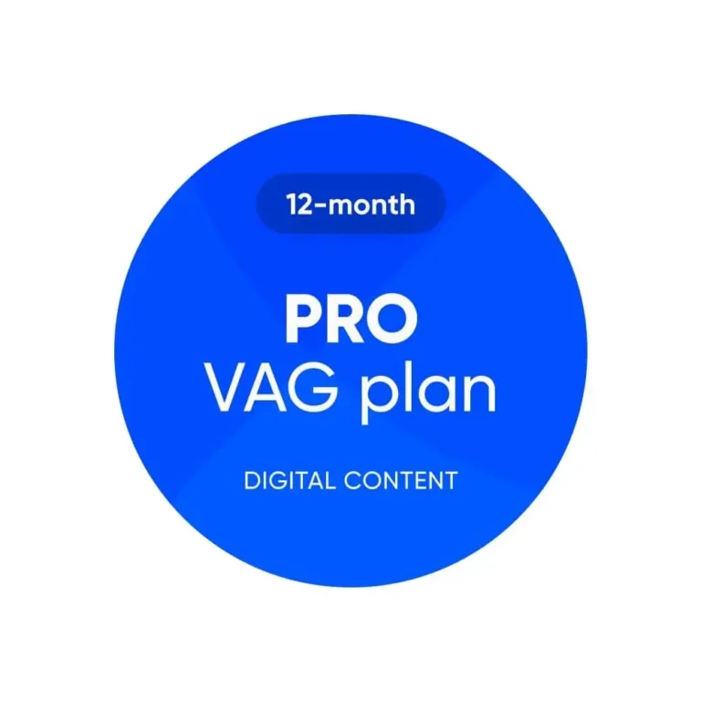 Plan OBDeleven PRO – 12 meses